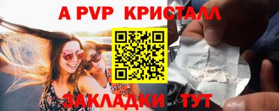 шишки Заволжье
