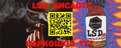 шишки Заволжье