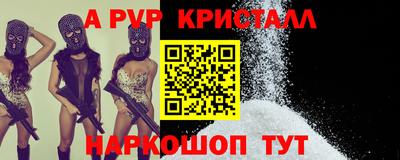 шишки Заволжье