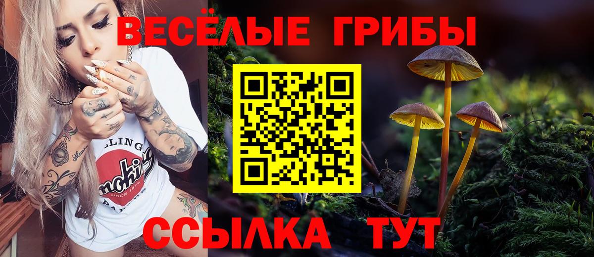 Киржач  Галлюциногенные грибы Cubensis  Галлюциногенные грибы мицелий  Вход с VPN 